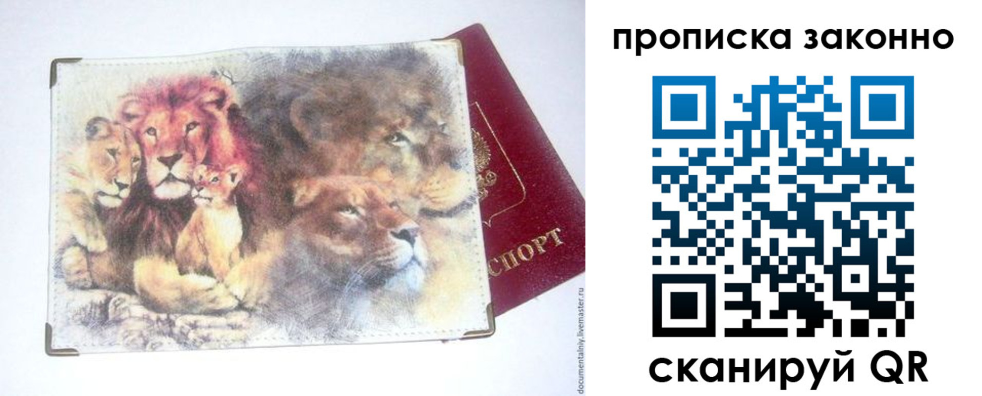 прописка от собственника в Камызяке